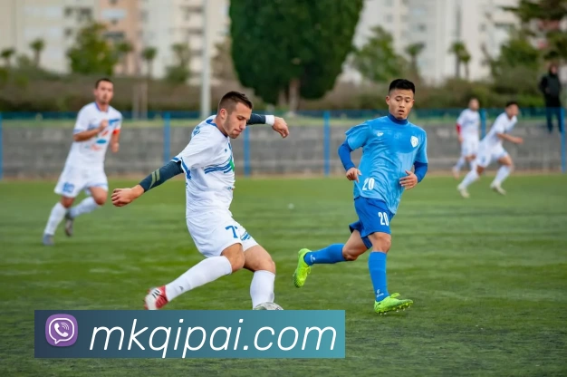 MK棋牌平台生态图